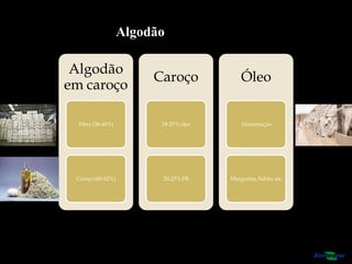 Algodão
em caroço
Fibra (38-40%)
Caroço (60-62%)
Caroço
18-25% óleo
20-25% PB
Óleo
Alimentação
Margarina, Sabão, etc
Algodão
 