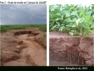 Fonte: Bataglia et al., 2012
 