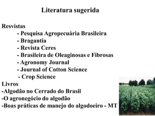 Literatura sugerida
Resvistas
- Pesquisa Agropecuária Brasileira
- Bragantia
- Revista Ceres
- Brasileira de Oleaginosas e Fibrosas
- Agronomy Journal
- Journal of Cotton Science
- Crop Science
Livros
-Algodão no Cerrado do Brasil
-O agronegócio do algodão
-Boas práticas de manejo do algodoeiro - MT
 