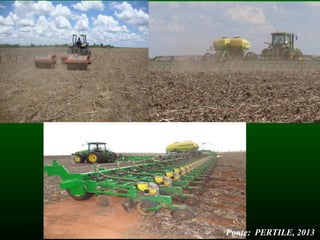 Fonte: PERTILE, 2013
 