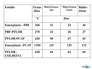 Estádio Graus
-Dias
Mato Grosso–
Sul
Mato Grosso
Norte
Bahia -
Oeste
º C dias
Emergência – PBF 360 31 34 36
PBF-PFLOR 270 22 26 27
PFLOR-PCAP 620 58 67 63
Emergência –PCAP 1350 115 135 133
PFLOR -
COLHEITA
620 64 64 69
Fonte: Rosolem,2007
 
