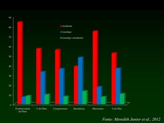 0
10
20
30
40
50
60
70
80
90
Produtividade
de Fibra
% de Fibra Comprimento Resistência Micronaire % de Óleo
Ambiente
Genótipo
Genótipo xAmbiente
Fonte: Meredith Junior et al., 2012
 