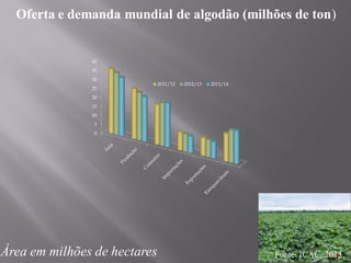 Fonte: ICAC, 2013
Oferta e demanda mundial de algodão (milhões de ton)
0
5
10
15
20
25
30
35
40
2011/12 2012/13 2013/14
Área em milhões de hectares
 