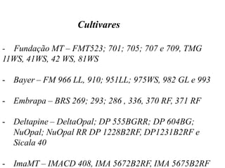 Cultivares
- Fundação MT – FMT523; 701; 705; 707 e 709, TMG
11WS, 41WS, 42 WS, 81WS
- Bayer – FM 966 LL, 910; 951LL; 975WS, 982 GL e 993
- Embrapa – BRS 269; 293; 286 , 336, 370 RF, 371 RF
- Deltapine – DeltaOpal; DP 555BGRR; DP 604BG;
NuOpal; NuOpal RR DP 1228B2RF, DP1231B2RF e
Sicala 40
- ImaMT – IMACD 408, IMA 5672B2RF, IMA 5675B2RF
 