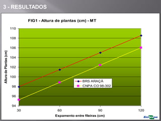 FIG1 - Altura de plantas (cm) - MT
94
96
98
100
102
104
106
108
110
30 60 90 120
Espamento entre fileiras (cm)
Altura
de
Plantas
(cm)
BRS ARAÇÁ
CNPA CO 98-302
3 - RESULTADOS
 