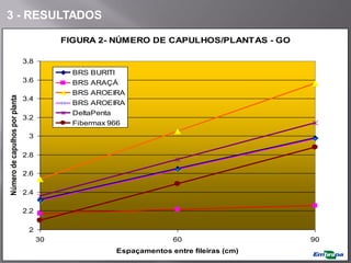 FIGURA 2- NÚMERO DE CAPULHOS/PLANTAS - GO
2
2.2
2.4
2.6
2.8
3
3.2
3.4
3.6
3.8
30 60 90
Espaçamentos entre fileiras (cm)
Número
de
capulhos
por
planta
BRS BURITI
BRS ARAÇÁ
BRS AROEIRA
BRS AROEIRA
DeltaPenta
Fibermax 966
3 - RESULTADOS
 