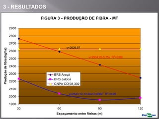 FIGURA 3 - PRODUÇÃO DE FIBRA - MT
1900
2000
2100
2200
2300
2400
2500
2600
2700
2800
2900
30 60 90 120
Espaçamento entre fileiras (m)
Produção
de
fibra
(kg/ha)
BRS Araçá
BRS Jatobá
CNPA CO 98-302
y=2543,12-12,24x+0,006x2
R2
=0,99
y=2934,20-5,75x R2
=0,89
y=2626,97
3 - RESULTADOS
 