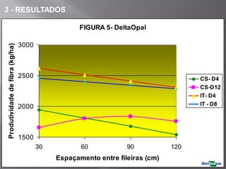 FIGURA 5- DeltaOpal
1500
2000
2500
3000
30 60 90 120
Espaçamento entre fileiras (cm)
Produtividade
de
fibra
(kg/ha)
CS- D4
CS-D12
IT- D4
IT - D8
3 - RESULTADOS
 