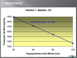 FIGURA 7 - MAKINA - D4
1300
1400
1500
1600
1700
1800
1900
30 60 90 120
Espaçamento entre fileiras (cm)
Produção
de
fibra
(kg/ha)
y=2070.92-5,92x R2
=0.99
3 - RESULTADOS
 