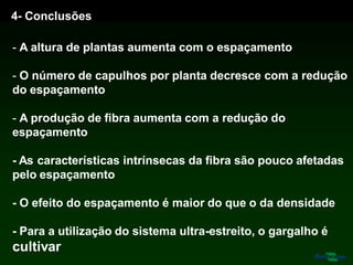 4- Conclusões
- A altura de plantas aumenta com o espaçamento
- O número de capulhos por planta decresce com a redução
do espaçamento
- A produção de fibra aumenta com a redução do
espaçamento
- As características intrínsecas da fibra são pouco afetadas
pelo espaçamento
- O efeito do espaçamento é maior do que o da densidade
- Para a utilização do sistema ultra-estreito, o gargalho é
cultivar
 