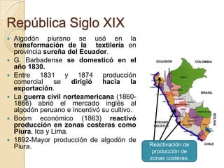 República Siglo XIX











Algodón piurano se usó en la
transformación de la textilería en
provincia sureña del Ecuador.
G. Barbadense se domesticó en el
año 1830.
Entre 1831 y 1874 producción
comercial
se
dirigió
hacia
la
exportación.
La guerra civil norteamericana (18601866) abrió el mercado inglés al
algodón peruano e incentivó su cultivo.
Boom económico (1863) reactivó
producción en zonas costeras como
Piura, Ica y Lima.
1892-Mayor producción de algodón de
Piura.

Reactivación de
producción de
zonas costeras.

 