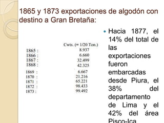 1865 y 1873 exportaciones de algodón con
destino a Gran Bretaña:


Hacia 1877, el
14% del total de
las
exportaciones
fueron
embarcadas
desde Piura, el
38%
del
departamento
de Lima y el
42% del área

 