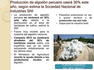 Producción de algodón peruano caerá 30% este
año, según estima la Sociedad Nacional de
Industrias SNI
La producción de algodón
peruano se contraerá en 30%
este año, debido a la
disminución en el área de
hectáreas de cultivo, estimó la
SNI.
 Futuro muy incierto para la
cosecha del algodón nacional,
 Campaña 2013 se sembraría
alrededor
del
30%
de
hectáreas menos sobre una
superficie que ya se viene
reduciendo drásticamente en
los últimos años.
 El Ministerio de Agricultura
recorta la ayuda directa a los
productores
locales
de
algodón.


• Pequeños productores no van
a querer sembrar y la
producción cae aún más.
• Golpe para la industria textil.

FUENTE:COMERCIO
Año: 2013, febrero 7.

 