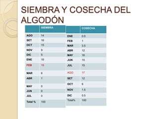 SIEMBRA Y COSECHA DEL
ALGODÓN
SIEMBRA

COSECHA

AGO

14

ENE

0.5

SET

16

FEB

1

OCT

15

MAR

3.5

NOV

9

ABR

12

DIC

5

MAY

16

ENE

16

JUN

15

FEB

18

JUL

15

MAR

6

AGO

17

ABR

1

SET

12

MAY

0

OCT

6

JUN

0

NOV

1.5

JUL

0

DIC

0.5

Total %

100

Total%

100

 