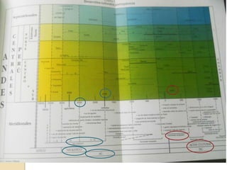 Mapa. Línea de tiempo.

 
