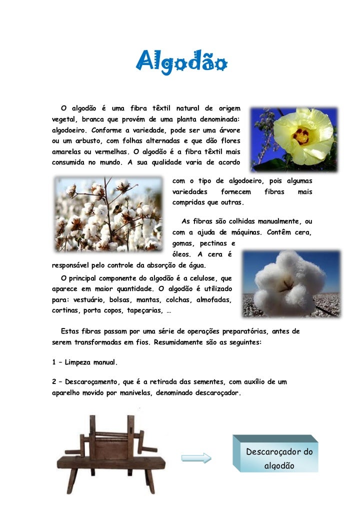 Algodão Algodão