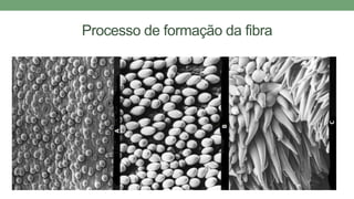 Processo de formação da fibra
 