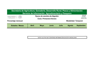 Modalidad: Temporal
Estados / Meses Abril Mayo Junio Julio Agosto Septiembre
ESTE CULTIVO NO CONTIENE INFORMACIÓN EN ESTA MODALIDAD
Porcentaje mensual
Secretaría de Agricultura, Ganadería, Desarrollo Rural, Pesca y Alimentación
Servicio de Información Agroalimentaria y Pesquera
Época de siembra de Algodón
Ciclo: Primavera-Verano
 