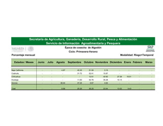 Porcentaje mensual Modalidad: Riego+Temporal
Estados / Meses Junio Julio Agosto Septiembre Octubre Noviembre Diciembre Enero Febrero Marzo
Baja California - - 4.97 40.30 51.59 3.15 - - - -
Coahuila - - - 31.72 52.41 15.87 - - - -
Chihuahua - - - - 12.51 40.60 27.38 19.51 - -
Durango - - - 11.83 42.76 35.28 10.13 - - -
Sonora - - 38.44 47.25 9.67 4.64 - - - -
Total - - 6.98 20.26 26.25 23.54 13.53 9.43 - -
Secretaría de Agricultura, Ganadería, Desarrollo Rural, Pesca y Alimentación
Servicio de Información Agroalimentaria y Pesquera
Época de cosecha de Algodón
Ciclo: Primavera-Verano
 