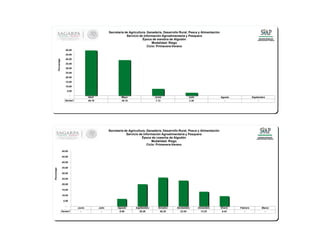 Abril Mayo Junio Julio Agosto Septiembre
Series1 49.76 39.16 7.72 3.36 - -
-
5.00
10.00
15.00
20.00
25.00
30.00
35.00
40.00
45.00
50.00
Porcentaje
Secretaría de Agricultura, Ganadería, Desarrollo Rural, Pesca y Alimentación
Servicio de Información Agroalimentaria y Pesquera
Época de siembra de Algodón
Modalidad: Riego
Ciclo: Primavera-Verano
Junio Julio Agosto Septiembre Octubre Noviembre Diciembre Enero Febrero Marzo
Series1 - - 6.98 20.26 26.25 23.54 13.53 9.43 - -
-
5.00
10.00
15.00
20.00
25.00
30.00
35.00
40.00
45.00
50.00
Porcentaje
Secretaría de Agricultura, Ganadería, Desarrollo Rural, Pesca y Alimentación
Servicio de Información Agroalimentaria y Pesquera
Época de cosecha de Algodón
Modalidad: Riego
Ciclo: Primavera-Verano
 