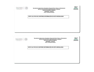 ESTE CULTIVO NO CONTIENE INFORMACIÓN EN ESTA MODALIDAD
Secretaría de Agricultura, Ganadería, Desarrollo Rural, Pesca y Alimentación
Servicio de Información Agroalimentaria y Pesquera
Época de cosecha de Algodón
Modalidad: Temporal
Ciclo: Primavera-Verano
ESTE CULTIVO NO CONTIENE INFORMACIÓN EN ESTA MODALIDAD
Secretaría de Agricultura, Ganaderia, Desarollo Rural, Pesca y Alimentación
Servicio de Información Agroalimentaria y Pesquera
Epoca de siembra de Algodón
Modalidad: Temporal
Ciclo: Primavera-Verano
 