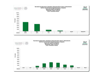 Abril Mayo Junio Julio Agosto Septiembre
Series1 49.76 39.16 7.72 3.36 - -
-
10.00
20.00
30.00
40.00
50.00
60.00
70.00
80.00
90.00
100.00
Porcentaje
Secretaría de Agricultura, Ganadería, Desarrollo Rural, Pesca y Alimentación
Servicio de Información Agroalimentaria y Pesquera
Época de siembra de Algodón
Modalidad: Riego+Temporal
Ciclo: Primavera Verano
Junio Julio Agosto Septiembre Octubre Noviembre Diciembre Enero Febrero Marzo
Series1 - - 6.98 20.26 26.25 23.54 13.53 9.43 - -
-
10.00
20.00
30.00
40.00
50.00
60.00
70.00
80.00
90.00
100.00
Porcentaje
Secretaría de Agricultura, Ganadería, Desarrollo Rural, Pesca y Alimentación
Servicio de Información Agroalimentaria y Pesquera
Época de cosecha de Algodón
Modalidad: Riego+Temporal
Ciclo: Primavera -Verano
 