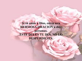 Si tú amas a Dios, envía esta HERMOSA ORACION a diez personas. ESTE DIA ES TU DIA, NO LO DESPERDICIES. 