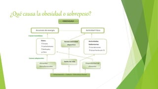 ¿Qué causa la obesidad o sobrepeso?
 