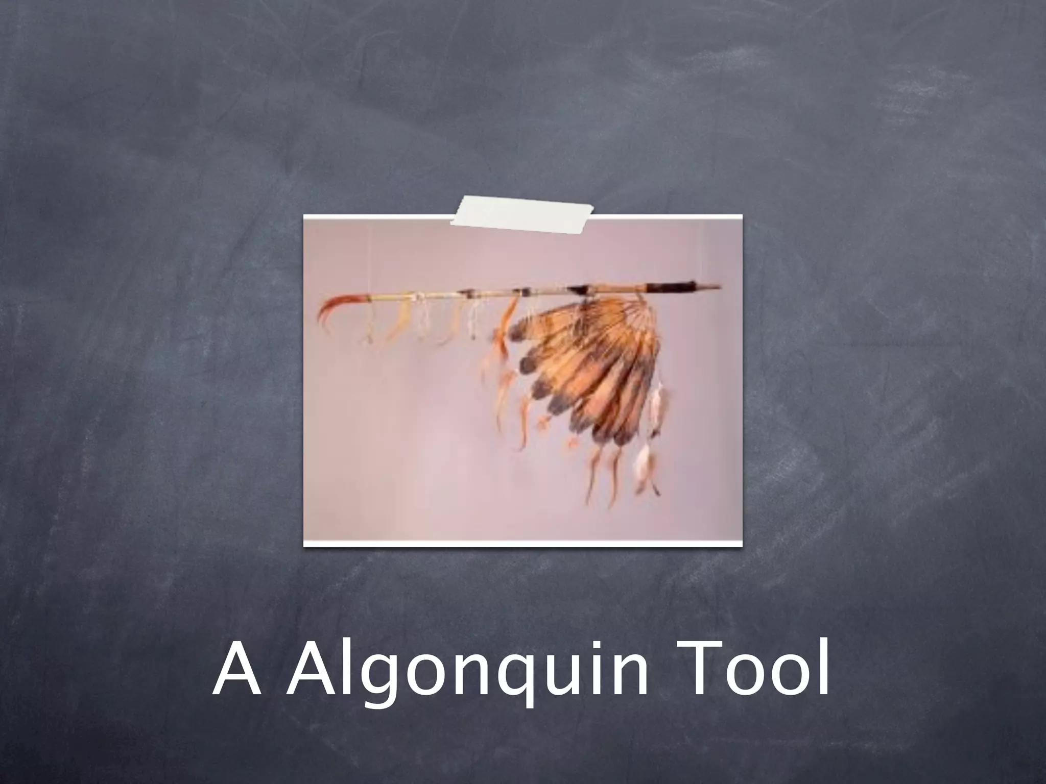 A Algonquin Tool
 