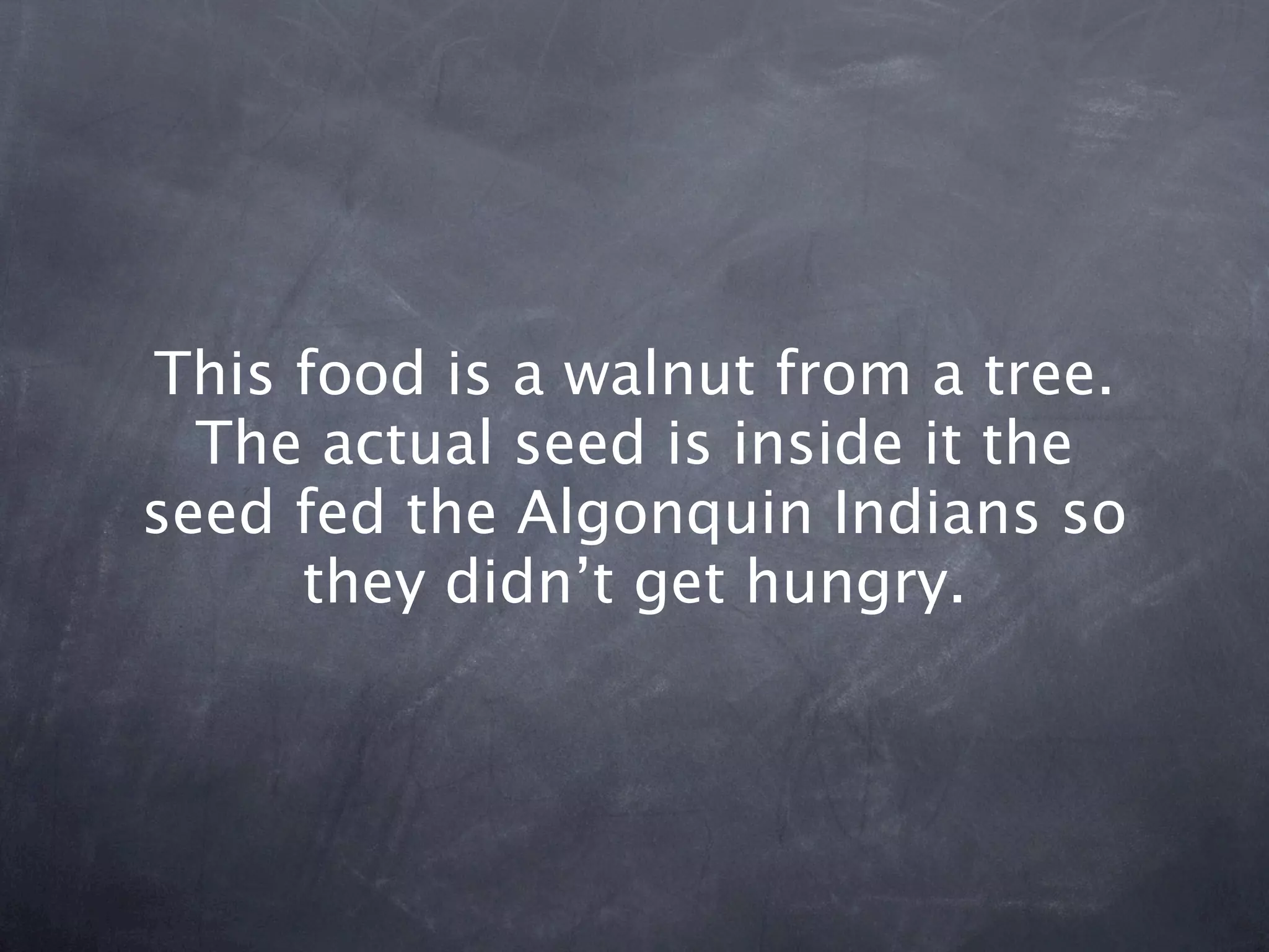 This food is a walnut from a tree.
  The actual seed is inside it the
seed fed the Algonquin Indians so
     they didn’t get hungry.
 