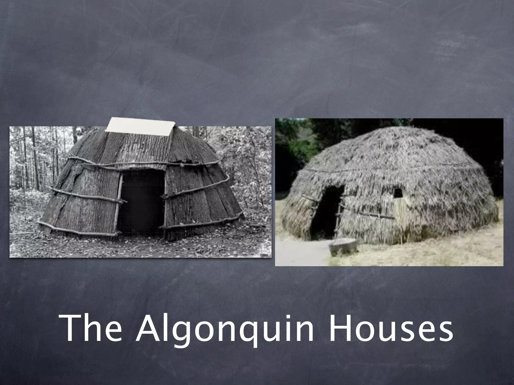 The Algonquin Houses
 