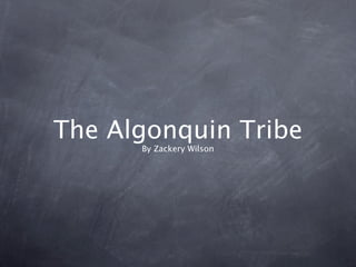The Algonquin Tribe
      By Zackery Wilson
 