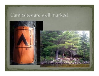 Algonquin with notes