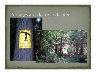 Algonquin with notes