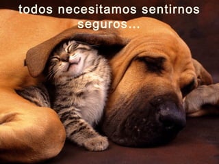 todos necesitamos sentirnos seguros…