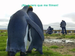 ¡No quiero que me filmen! 