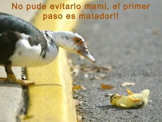 No pude evitarlo mami, el primer paso es matador!! 