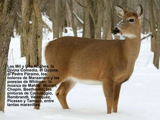 Las Mil y Una Noches, la Divina Comedia, el Quijote, el Pedro Páramo, los boleros de Manzanero y las poesías de Whitman; la música de Mahler, Mozart, Chopin, Beethoven; las  pinturas de Caravaggio, Rembrandt, Velázquez, Picasso y Tamayo, entre tantas maravillas.   