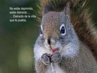 No estás deprimido,  estás distraído … …  Distraído de la vida que te puebla, 