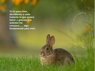 Yo lo paso bien, decidiendo a cada instante lo que quiero hacer y gracias a la soledad me conozco...... algo fundamental para vivir.  