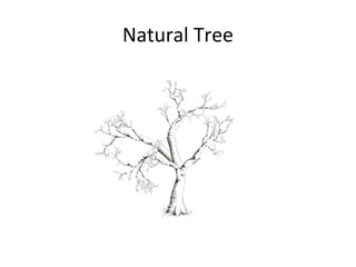 Natural Tree
 