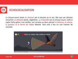 ECHOLOCALISATION
BAT ALGORITHM 4Master IMI
La chauve-souris émet un ultrason par la bouche ou le nez. Dès que cet ultrason
rencontre un obstacle (proie, végétation…), il rebondit vers la chauve-souris. Celle-ci
capte l’écho grâce à ses oreilles, son cerveau va alors calculer la distance, la vitesse,
la position et la forme de l’objet détecté. Tout cela a lieu en une fraction de
seconde.
 