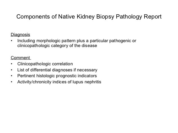 biopsy report sle algorithmic approach to the renal biopsy fellow biopsy report sle algorithmic approach to the renal biopsy fellow