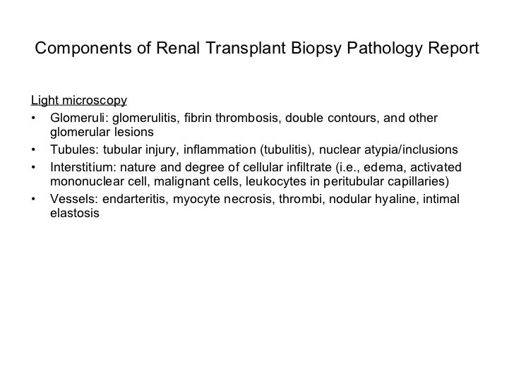 biopsy report sle algorithmic approach to the renal biopsy fellow biopsy report sle algorithmic approach to the renal biopsy fellow