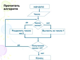 Прочитать алгоритм начало Конец Разделить число на 2 Число четно? нет да Вычесть из числа 1 Число нет Полученное число  > 0 ? да 
