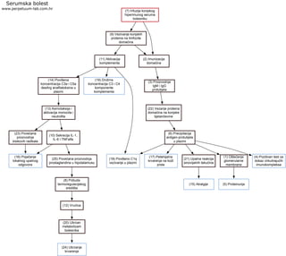 (7) Infuzija konjskog
hiperimunog seruma
bolesniku
Serumska bolest
www.perpetuum-lab.com.hr
(15) Atralgije
(9) Vezivanje konjskih
proteina na limfocite
domaćina
(11) Aktivacija
komplementa
(2) Imunizacija
domaćina
(3) Proizvodnja
IgM i IgG
protutijela
(22) Vezanje proteina
domaćina na konjske
bjelančevine
(6) Precipitacija
antigen-protutijela
u plazmi
(17) Petehijalna
krvarenja na koži
prsta
(21) Upalna reakcija
sinovijalnih tekućina
(1) Oštećenje
glomerularne
membrane
(5) Proteinurija
(4) Pozitivan test za
dokaz cirkulirajućih
imunokompleksa
(18) Povišeno C1q
vezivanje u plazmi
(14) Povišena
koncentracija C3a i C5a
desArg anafilatoksina u
plazmi
(13) Kemotaksija i
aktivacija monocita i
neutrofila
(10) Sekrecija IL-1,
IL-6 i TNFalfa
(23) Povećana
proizvodnja
kisikovih radikala
(16) Pojačanje
lokalnog upalnog
odgovora
(25) Povećana proizvodnja
prostaglandina u hipotalamusu
(8) Pobuda
termoregulacijskog
središta
(12) Vrućica
(20) Ubrzan
metabolizam
bolesnika
(24) Ubrzanje
krvarenja
(19) Dnižrns
koncentracija C3 i C4
komponente
komplementa
 