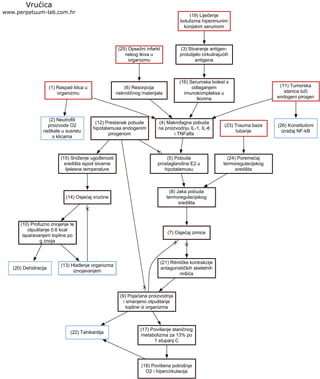 (1) Raspad klica u
organizmu
Vrućica
www.perpetuum-lab.com.hr
(4) Makrofagna pobuda
na proizvodnju IL-1, IL-6
i TNFalfa
(2) Neutrofili
proizvode O2
radikale u susretu
s klicama
(11) Tumorska
stanica luči
endogeni pirogen
(26) Konstitutivni
izražaj NF-kB
(5) Pobuda
prostaglandina E2 u
hipotalamusu
(8) Jaka pobuda
termoregulacijskog
središta
(7) Osjećaj zimice
(25) Opsežni infarkt
nekog tkiva u
organizmu
(6) Resorpcija
nekrotičnog materijala
(23) Trauma baze
lubanje
(24) Poremećaj
termoregulacijskog
središta
(19) Liječenje
botulizma hiperimunim
konjskim serumom
(3) Stvaranje antigen-
protutijelo cirkulirajućih
antigena
(16) Serumska bolest s
odlaganjem
imunokompleksa u
tkivima
(12) Prestanak pobude
hipotalamusa endogenim
pirogenom
(21) Ritmičke kontrakcije
antagonističkih skeletnih
mišića
(9) Pojačana proizvodnja
i smanjeno otpuštanje
topline iz organizma
(22) Tahikardija
(17) Povišenje staničnog
metabolizma za 13% po
1 stupanj C
(18) Povišena potrošnja
O2 i hipercirkulacija
(15) Sniženje ugođenosti
središta ispod stvarne
tjelesne temperature
(14) Osjećaj vrućine
(10) Profuzno znojenje te
otpuštanje 0.6 kcal
isparavanjem topline po
g znoja
(13) Hlađenje organizma
iznojavanjem
(20) Dehidracija
 