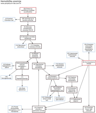 Hemolitička anemija
www.perpetuum-lab.com.hr
(26) Sinteza Ig
specifičnog za epitope
na eritrocitima
(28) Vezivanje Ig na
površinu eritrocita
(2) Pozitivan
Coombsov test
(9) Aktivacija
komplementa i
stvaranje C5b-C9
(7) Smanjena osmotska
rezistencija
(14) Sferocitoza i
anizocitoza
(17) Onkotičko
bubrenje eritrocita
(3) Raspad
eritrocitne
membrane
(4) Oligocitemija i
smanjenje
hematokrita
(13) Ubrzana
sedimentacija
eritrocita
(19) Izvaneritrocitni
slobodni
hemoglobin u
plazmi
(16)
Hemoglobinurija
(1)
Hiperbilirubinemija
(20) Žutilo
bjeloočnice
(6) Sniženje
haptoglobina u
plazmi
(5) Smanjena
oksiformnost krvi
(25) Umjerena
hipoksijska
hipoenergoza u krvi
(10) Tahikardija i
ubrzan protok
krvi
(23) Simptomi
opće slabosti
(18) Pojačana
proizvodnja
eritropoetina
(12) Eritroidna
hiperplazija
koštane srži
(11) Retikulocitni
odgovor
(8) Imunosupresivna
terapija
(24) Smanjena
proizvodnja
protutijela u
populacijama
limfocita B
(15) Vrijednost
eritrocita u
granicama normale
(27) Produljen
životni vijek
eritrocita
(22) Usporavanje
sedimentacije
eritrocita
(21) Porast
koncentracije
hemoglobina u krvi i
hematokrita
 