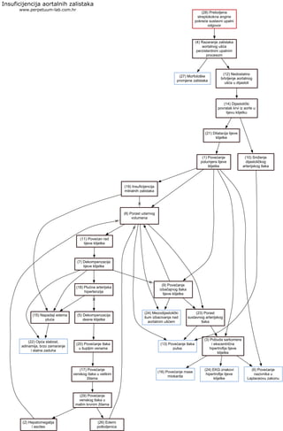 (28) Preboljena
streptokokna angine
pokreće sustavni upalni
odgovor
Insuficijencija aortalnih zalistaka
www.perpetuum-lab.com.hr
(27) Morfološke
promjene zalistaka
(4) Razaranje zalistaka
aortalnog ušća
perzistentnim upalnim
procesom
(12) Nedostatno
brtvljenje aortalnog
ušća u dijastoli
(14) Dijastolički
povratak krvi iz aorte u
lijevu klijetku
(21) Dilatacija lijeve
klijetke
(10) Sniženje
dijastoličkog
arterijskog tlaka
(1) Povećanje
polumjera lijeve
klijetke
(19) Insuficijencija
mitralnih zalistaka
(8) Porast udarnog
volumena
(9) Povećanje
izbačajnog tlaka
lijeve klijetke
(3) Pobuda sarkomera
i ekscentrična
hipertrofija lijeve
klijetke
(6) Povećanje
nazivnika u
Laplaceovu zakonu
(16) Povećanje mase
miokarda
(24) EKG znakovi
hipertrofije lijeve
klijetke
(23) Porast
sustavnog arterijskog
tlaka
(13) Povećanje tlaka
pulsa
(24) Mezodijastolički
šum izbacivanja nad
aortalnim ušćem
(11) Povećan rad
lijeve klijetke
(7) Dekompenzacija
lijeve klijetke
(26) Edemi
potkoljenica
(2) Hepatomegalija
i ascites
(22) Opća slabost,
adinamija, brzo zamaranje
i stalna zaduha
(15) Napadaji edema
pluća
(18) Plućna arterijska
hipertenzija
(5) Dekompenzacija
desne klijetke
(20) Povećanje tlaka
u šupljim venama
(17) Povećanje
venskog tlaka u velikim
žilama
(29) Povećanje
venskog tlaka u
malim krvnim žilama
 