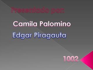 Presentado por: Camila Palomino Edgar Piragauta 1002 